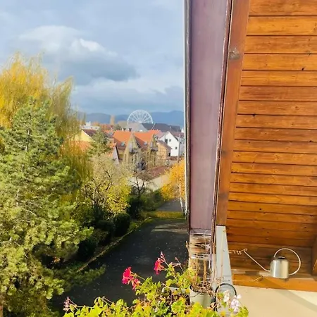 Grillen's Garden Apartment