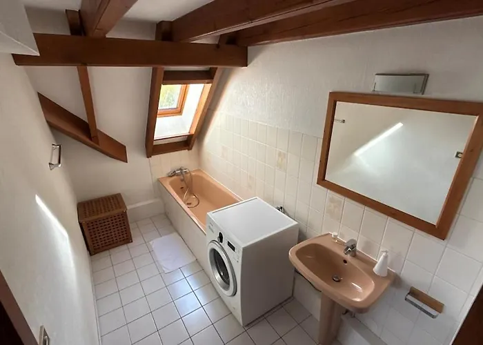 Apartment Grillen's Garden Colmar