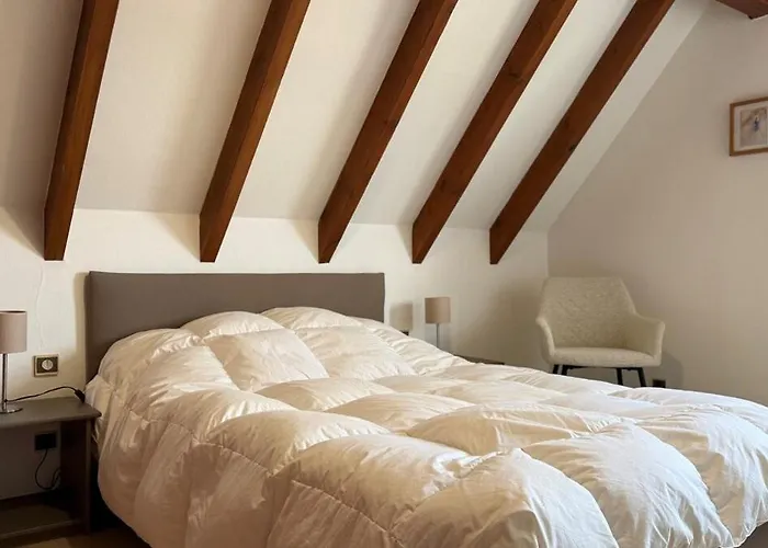 Apartment Grillen's Garden Colmar